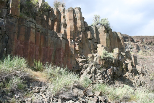Basalt columns on the Lenore Cave hike.